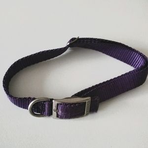 LARGE DOG COLLAR